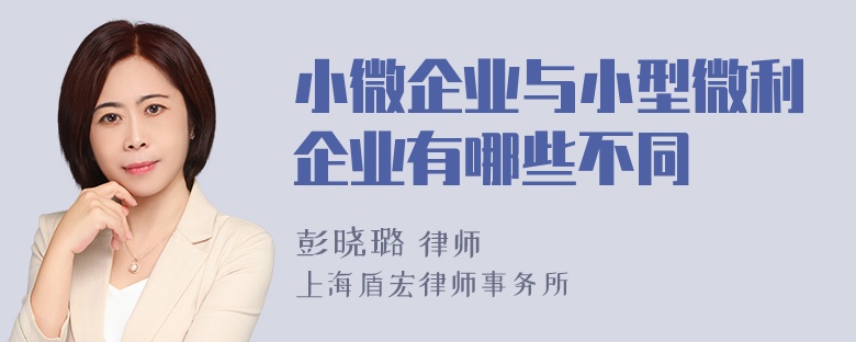 小微企业与小型微利企业有哪些不同