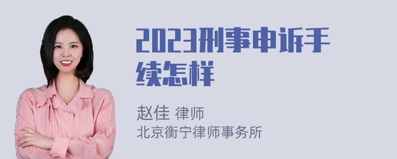 2023刑事申诉手续怎样