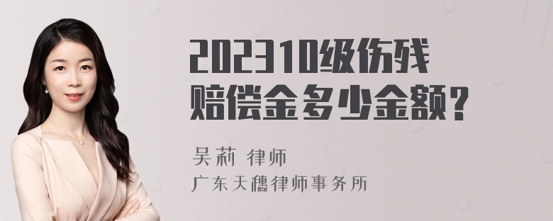 202310级伤残赔偿金多少金额？