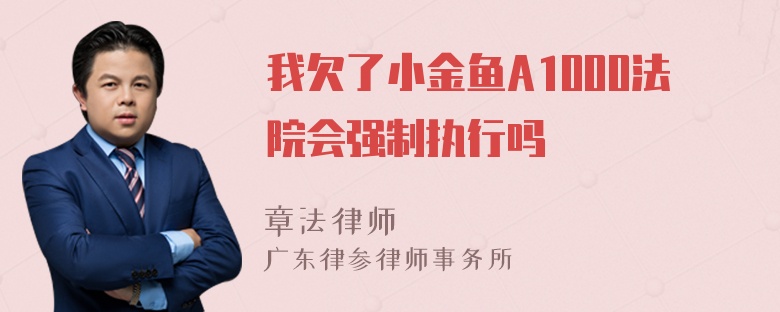 我欠了小金鱼A1000法院会强制执行吗