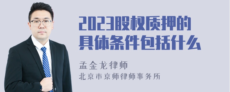 2023股权质押的具体条件包括什么