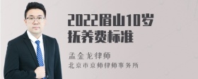 2022眉山10岁抚养费标准