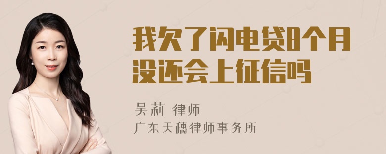 我欠了闪电贷8个月没还会上征信吗