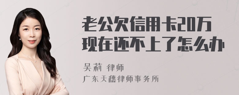 老公欠信用卡20万现在还不上了怎么办