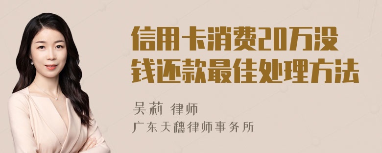 信用卡消费20万没钱还款最佳处理方法