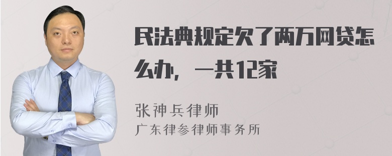 民法典规定欠了两万网贷怎么办，一共12家