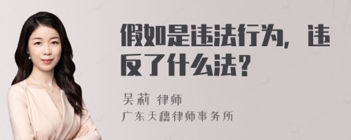 假如是违法行为，违反了什么法？