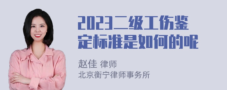 2023二级工伤鉴定标准是如何的呢