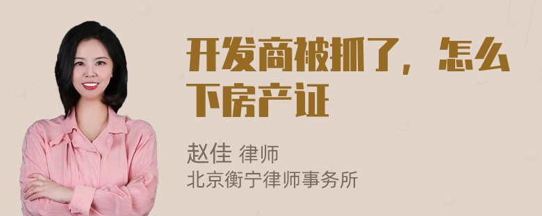 开发商被抓了，怎么下房产证