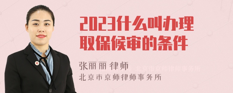 2023什么叫办理取保候审的条件