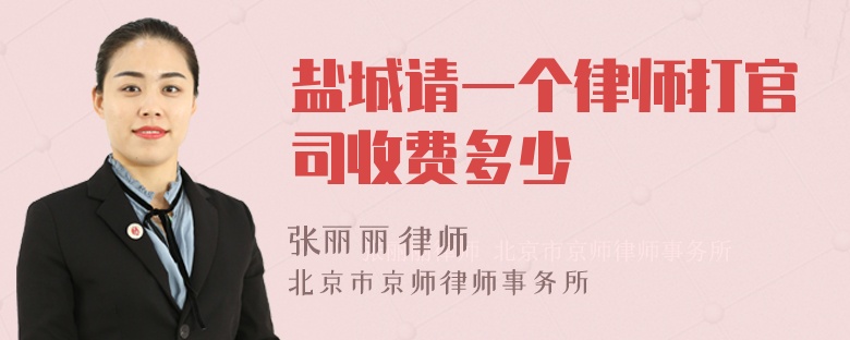 盐城请一个律师打官司收费多少