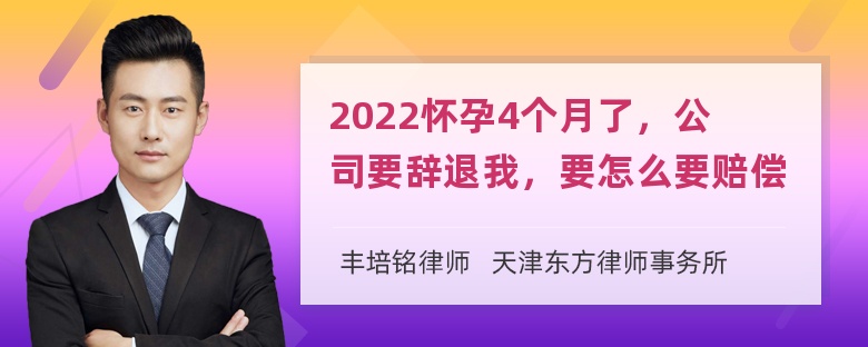 2022怀孕4个月了，公司要辞退我，要怎么要赔偿