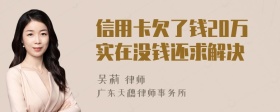 信用卡欠了钱20万实在没钱还求解决