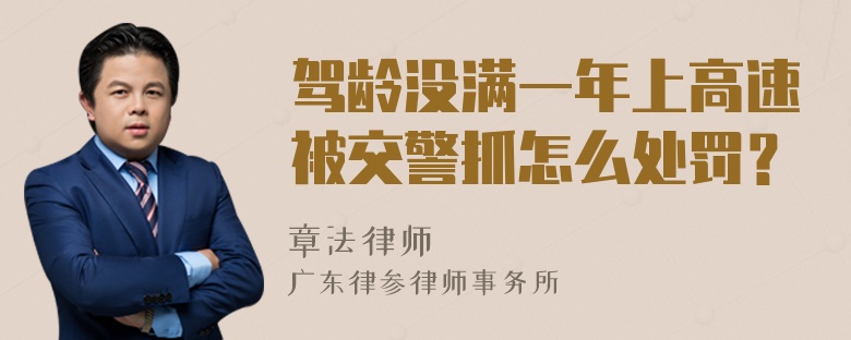 驾龄没满一年上高速被交警抓怎么处罚？