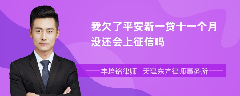 我欠了平安新一贷十一个月没还会上征信吗