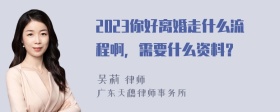 2023你好离婚走什么流程啊，需要什么资料？