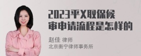 2023平X取保候审申请流程是怎样的