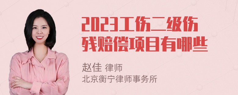 2023工伤二级伤残赔偿项目有哪些