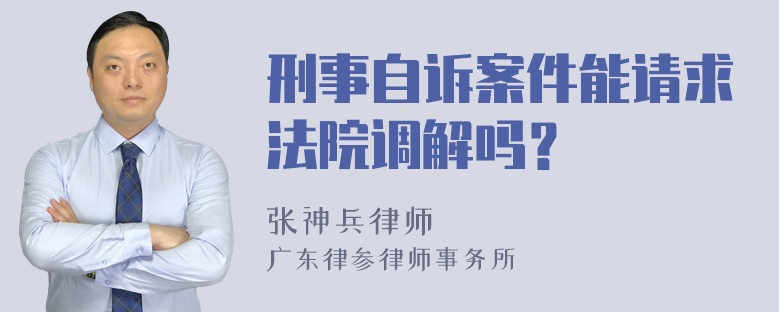 刑事自诉案件能请求法院调解吗？