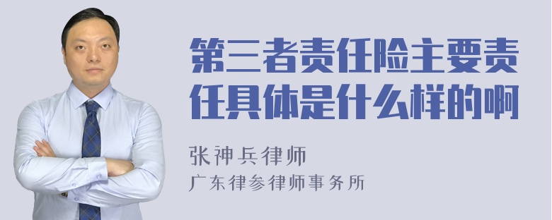 第三者责任险主要责任具体是什么样的啊