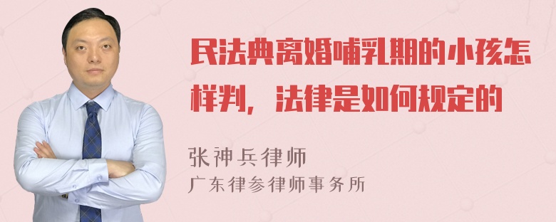 民法典离婚哺乳期的小孩怎样判，法律是如何规定的