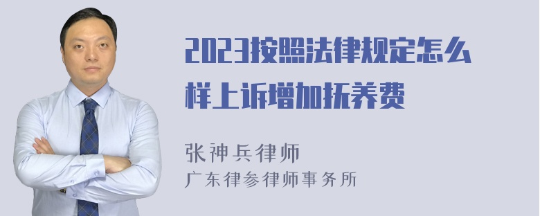 2023按照法律规定怎么样上诉增加抚养费