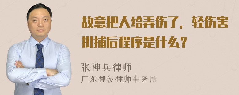 故意把人给弄伤了，轻伤害批捕后程序是什么？