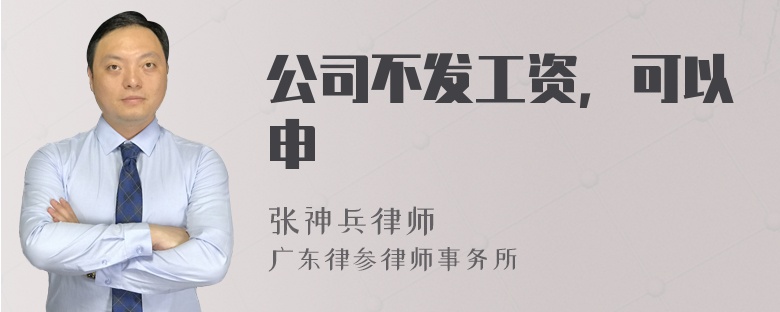 公司不发工资，可以申