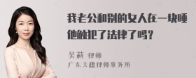 我老公和别的女人在一块睡他触犯了法律了吗？