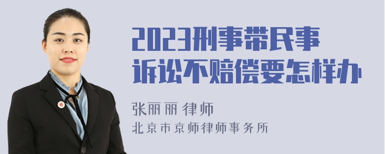 2023刑事带民事诉讼不赔偿要怎样办