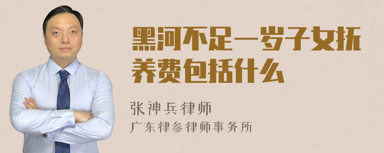 黑河不足一岁子女抚养费包括什么