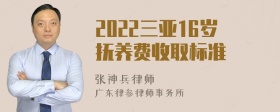 2022三亚16岁抚养费收取标准