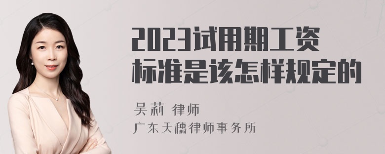 2023试用期工资标准是该怎样规定的