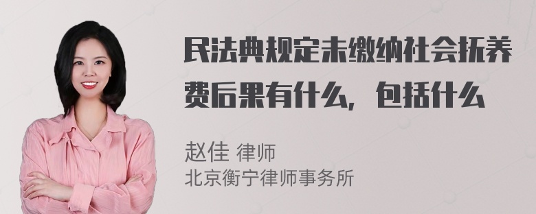 民法典规定未缴纳社会抚养费后果有什么，包括什么