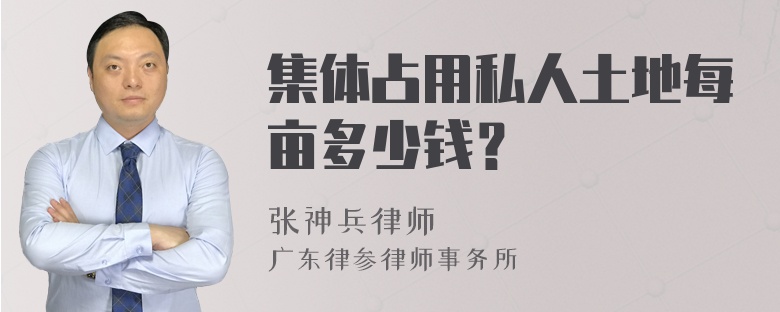 集体占用私人土地每亩多少钱？