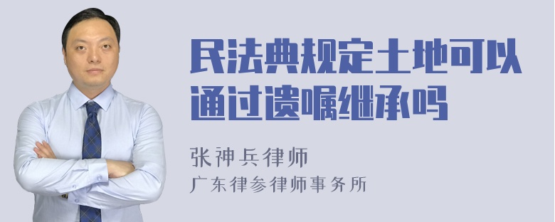 民法典规定土地可以通过遗嘱继承吗