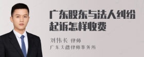 广东股东与法人纠纷起诉怎样收费