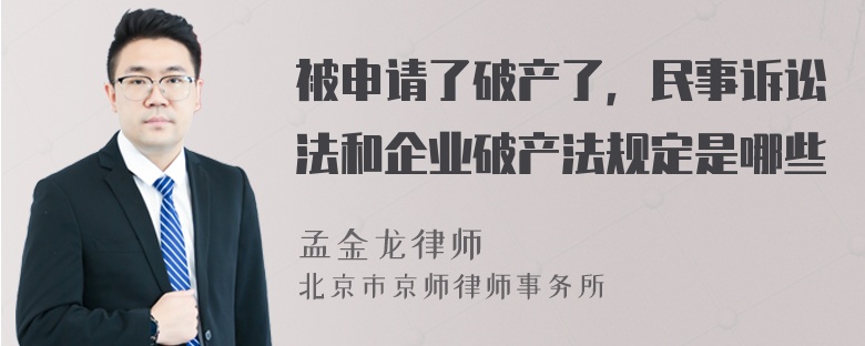 被申请了破产了，民事诉讼法和企业破产法规定是哪些