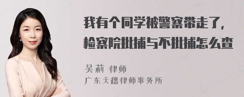 我有个同学被警察带走了，检察院批捕与不批捕怎么查