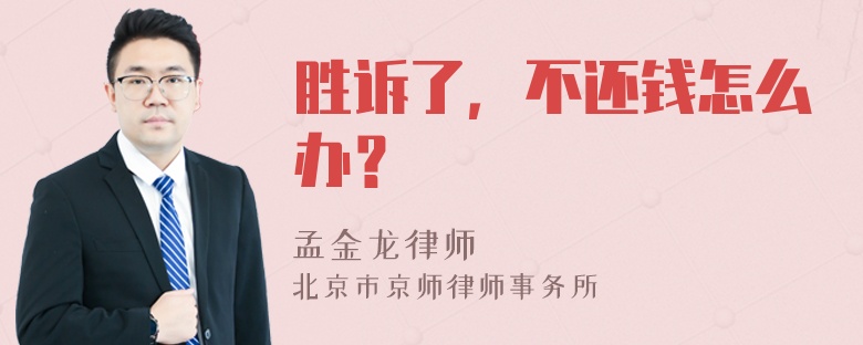 胜诉了，不还钱怎么办？