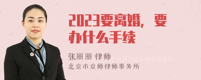 2023要离婚，要办什么手续