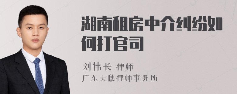 湖南租房中介纠纷如何打官司