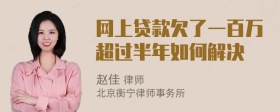 网上贷款欠了一百万超过半年如何解决