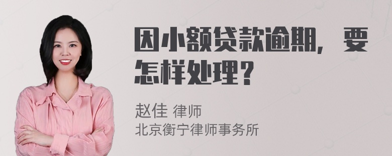 因小额贷款逾期，要怎样处理？