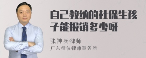 自己教纳的社保生孩子能报销多少呀