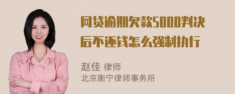 网贷逾期欠款5000判决后不还钱怎么强制执行