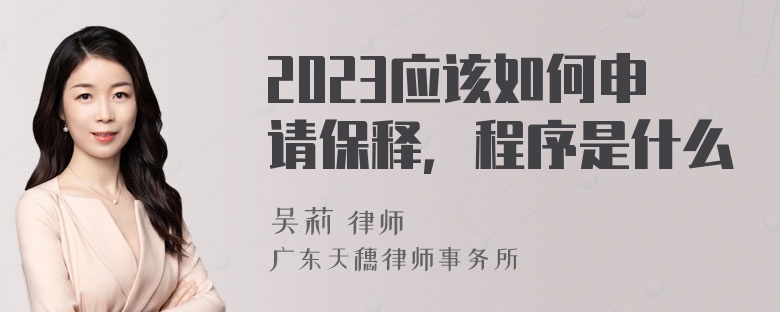 2023应该如何申请保释，程序是什么