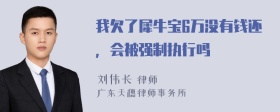 我欠了犀牛宝6万没有钱还，会被强制执行吗