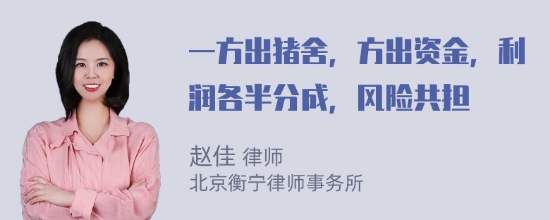 一方出猪舍，方出资金，利润各半分成，风险共担