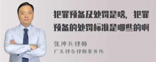 犯罪预备及处罚是啥，犯罪预备的处罚标准是哪些的啊